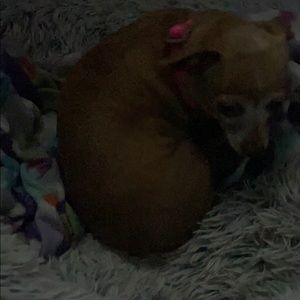 Meet your Posher, Tammy